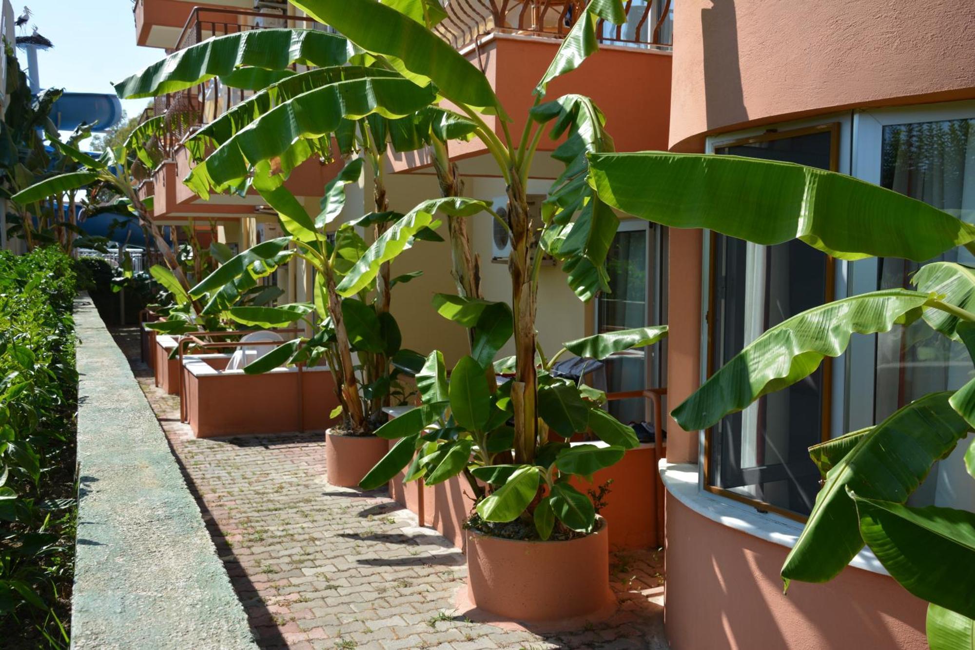 Yavuzhan Hotel Side Phòng bức ảnh